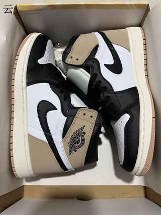 Air Jordan 1 Retro-43