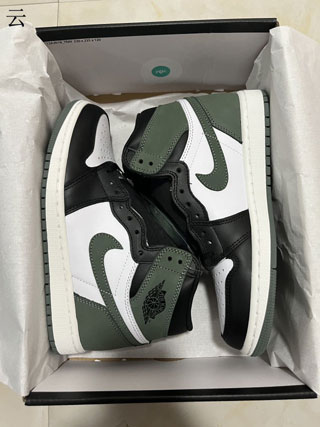 Air Jordan 1 Retro-44