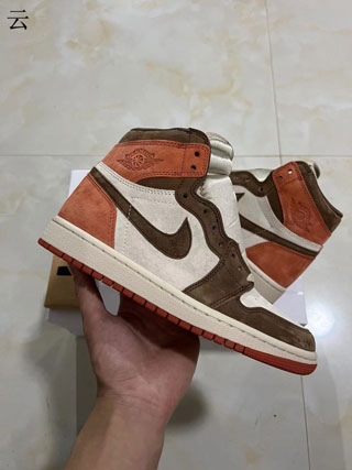 Air Jordan 1 Retro-50