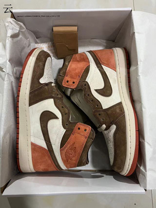 Air Jordan 1 Retro-50