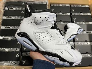 Air Jordan 6 Retro-17