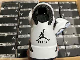 Air Jordan 6 Retro-17