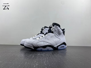 Air Jordan 6 Retro-17