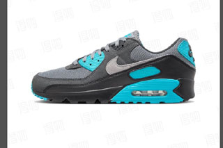 Air Max 90 Women shoes